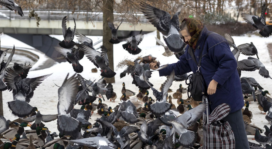 Женщина кормит голубей в парке 