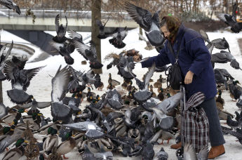 Женщина кормит голубей в парке 