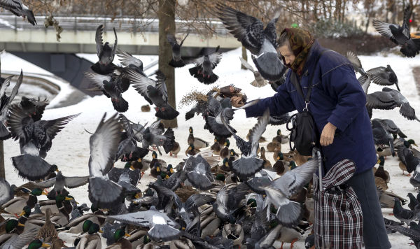 Женщина кормит голубей в парке 