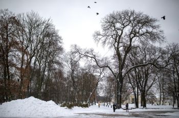 Парк в Вильнюсе, Литва