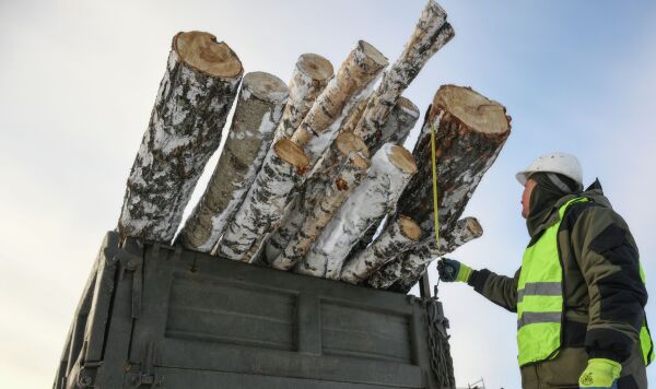 Заготовка дров в Новосибирской области Сотрудники лесохозяйственного предприятия Колыванского района Новосибирской области отгружают дрова