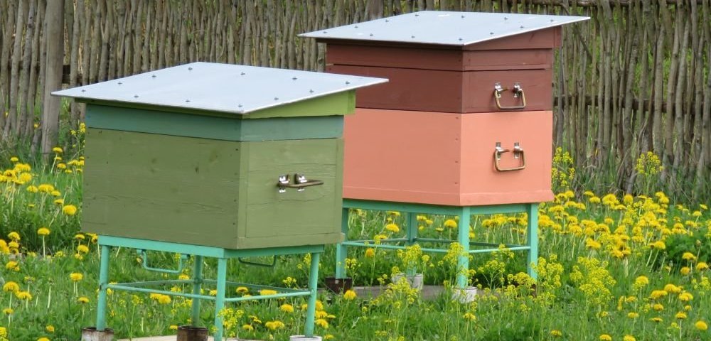 Пчелиные ульи. Пчелиные ульи.